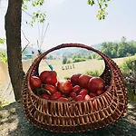 Con Vista Panoramica E Restaurant - Pet Friendly Nel Monferrato Cortandone