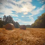 Con Vista Panoramica E Restaurant - Pet Friendly Nel Monferrato Cortandone