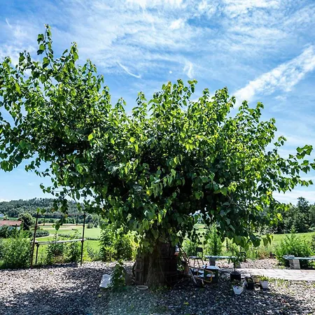 Con Vista Panoramica E Restaurant - Pet Friendly Nel Monferrato Cortandone