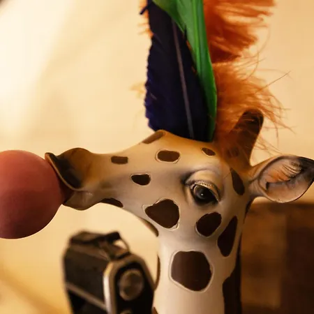 Con Vista Panoramica E Restaurant - Pet Friendly Nel Monferrato