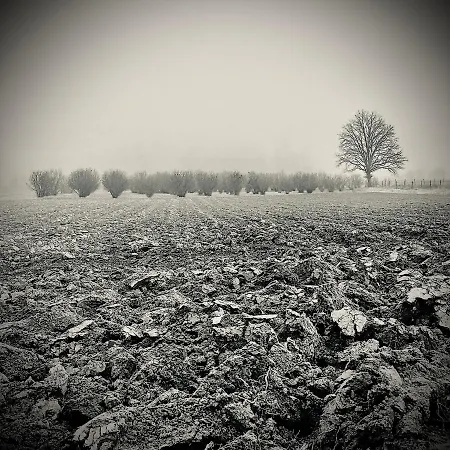 Con Vista Panoramica E Restaurant - Pet Friendly Nel Monferrato * Cortandone