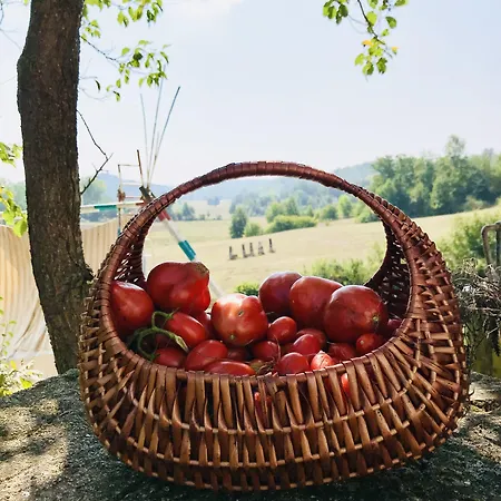 Con Vista Panoramica E Restaurant - Pet Friendly Nel Monferrato Cortandone