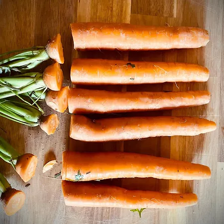Frühstückspension Panoramic Scenic View Da Lusi - Pet Friendly *