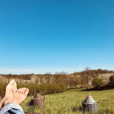 Con Vista Panoramica E Restaurant - Pet Friendly Nel Monferrato Bed & Breakfast *