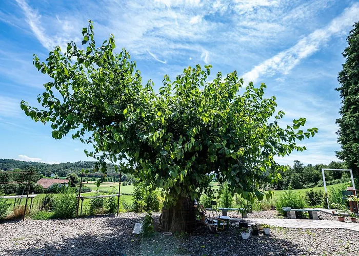 Con Vista Panoramica E Restaurant - Pet Friendly Nel Monferrato Cortandone