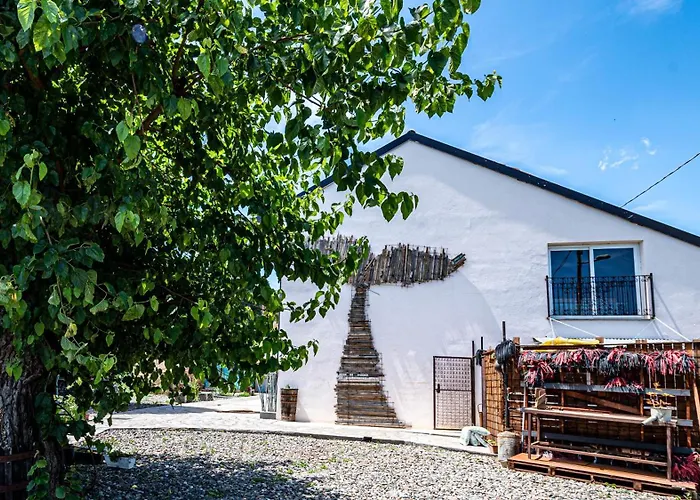 Con Vista Panoramica E Restaurant - Pet Friendly Nel Monferrato Oda ve Kahvaltı