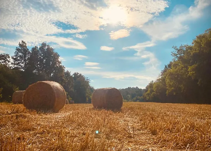 Con Vista Panoramica E Restaurant - Pet Friendly Nel Monferrato Cortandone