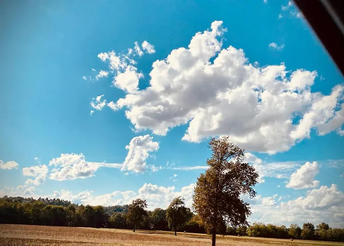 Con Vista Panoramica E Restaurant - Pet Friendly Nel Monferrato Couette-café *